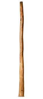 Wix Stix Didgeridoo (WS220)
